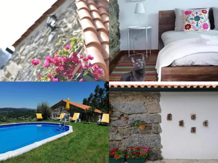 Casa Pedra & Cal Villa Paredes de Coura Ngoại thất bức ảnh